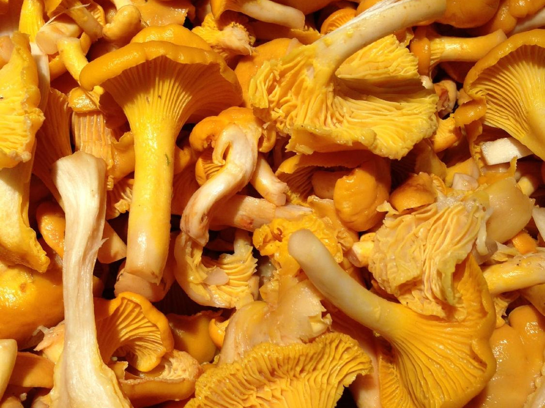 Le Verrou, Maison de Charme主图