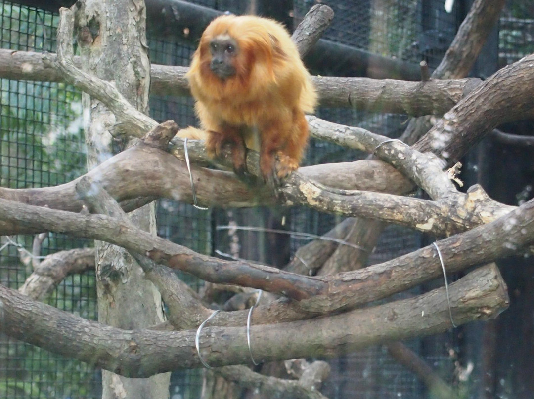 香港动植物公园-香港必去景点