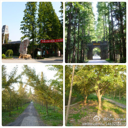 宝应湖-宝应县必去景点