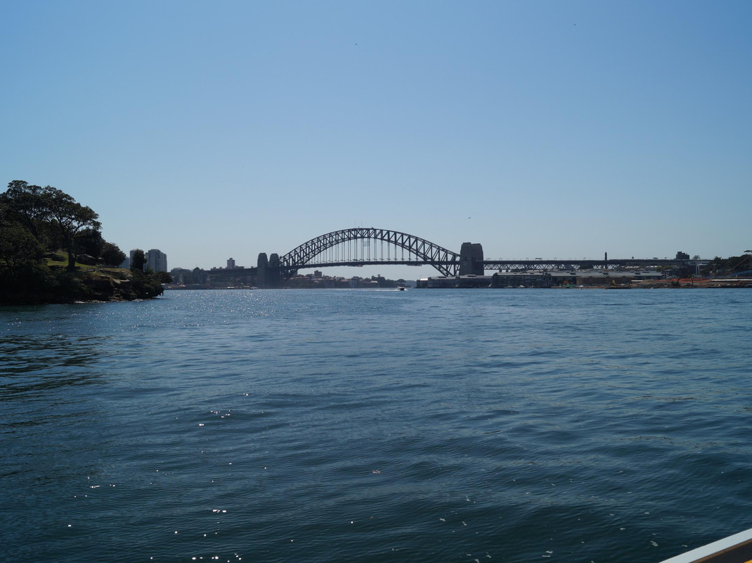 悉尼渡船-悉尼必去景点