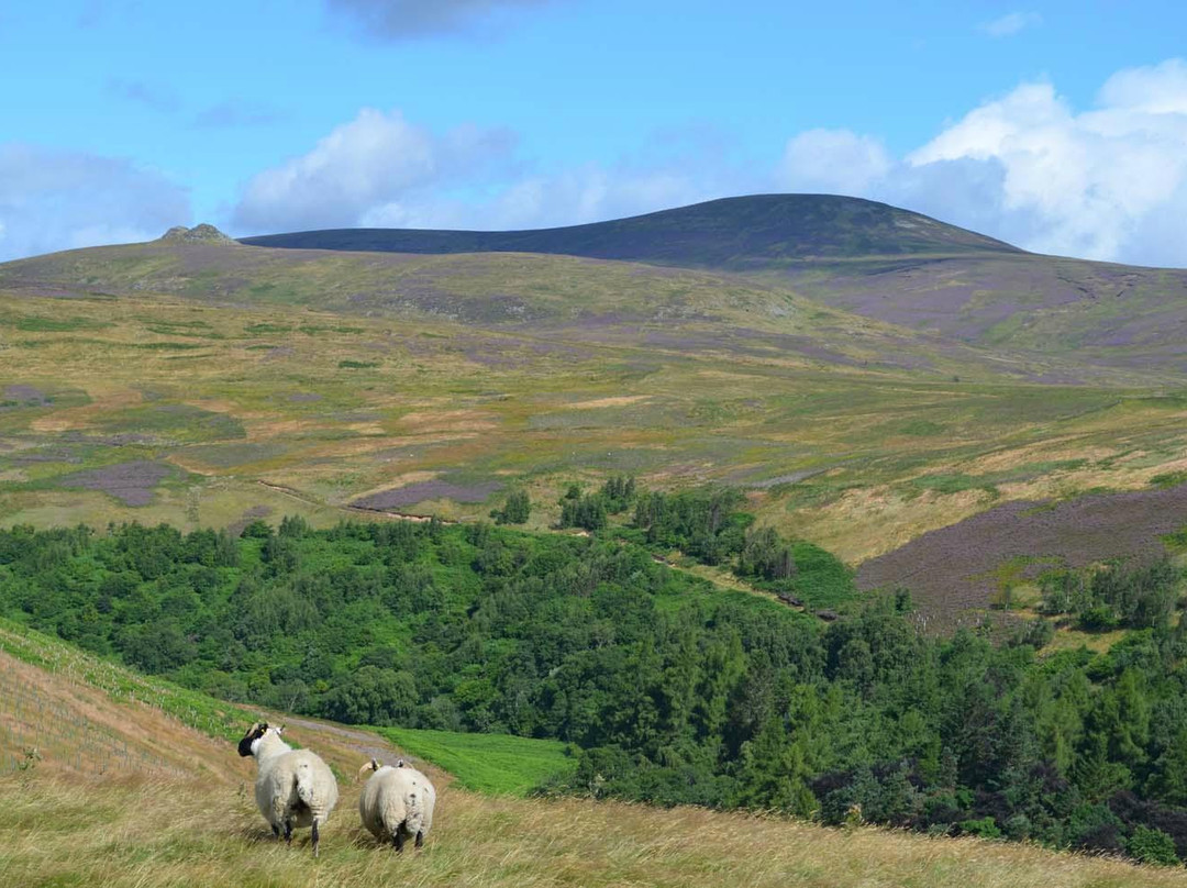 Navigate Northumberland景点图片