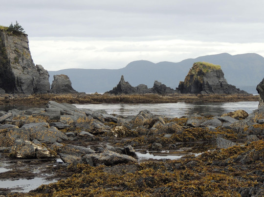 Fort Abercrombie State Historical Park-科迪亚克岛必去景点