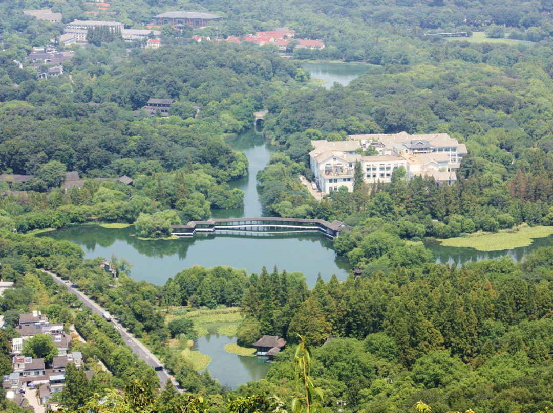 太子湾公园-杭州市必去景点