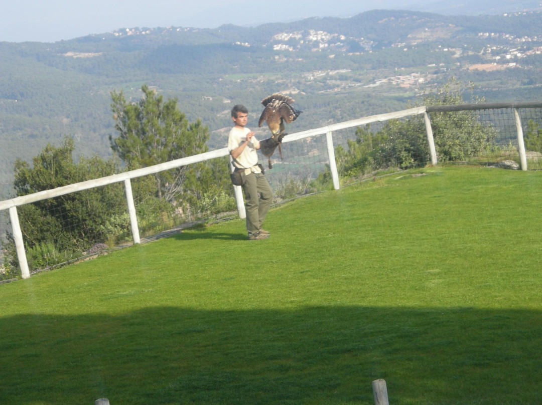 Cim d'Àligues