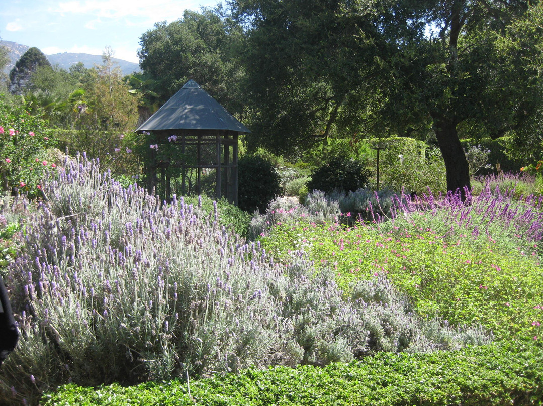 荷花园-蒙特西托必去景点