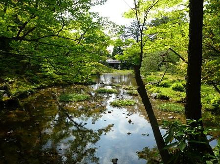 无邻奄庭园-京都市必去景点