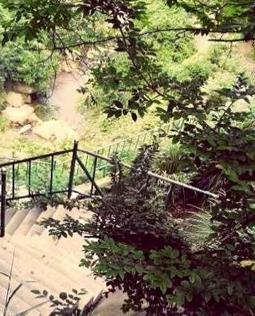 庐山植物园-九江市必去景点