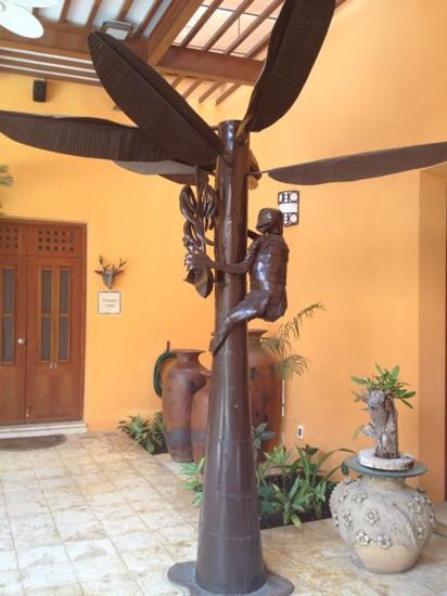 Casa de los Venados景点图片