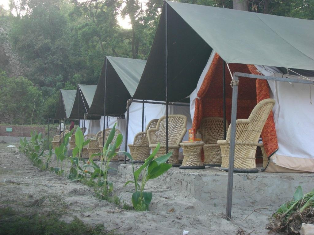 ARS Camp