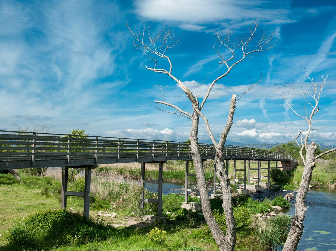 Parco Fluviale del Padrongianus-Murta Maria必去景点