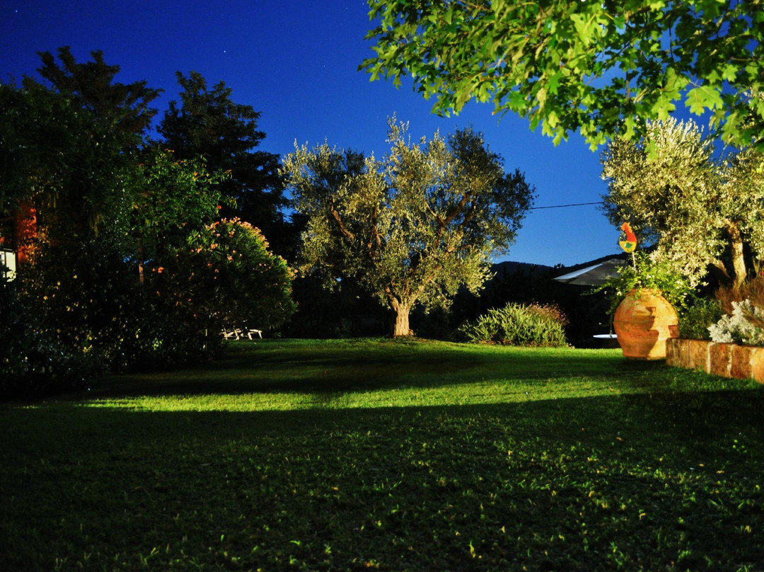 Podere L'Olmaia主图