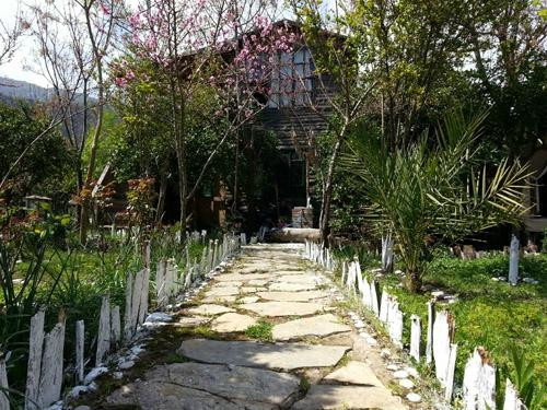 Addison旅游攻略图片