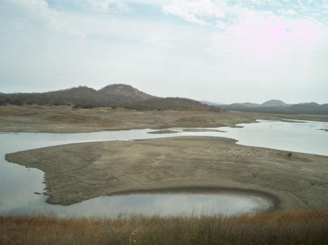 Gir Forest Tours-Sasan Gir必去景点