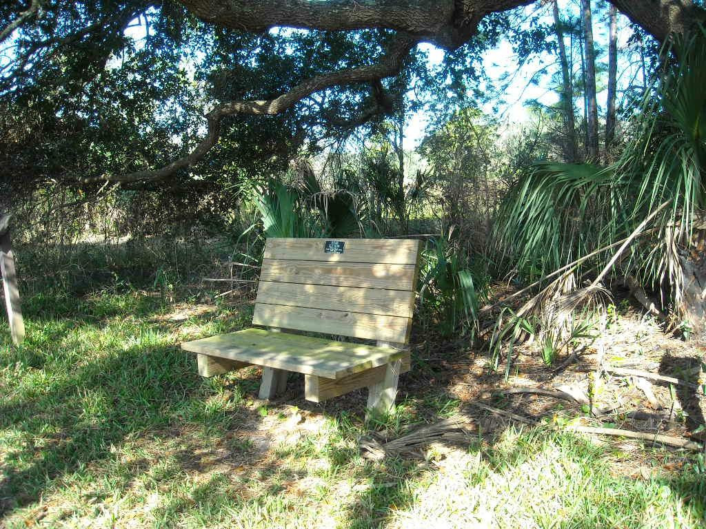 Crystal River Preserve State Park Eco-Walk-克里斯特尔里弗必去景点