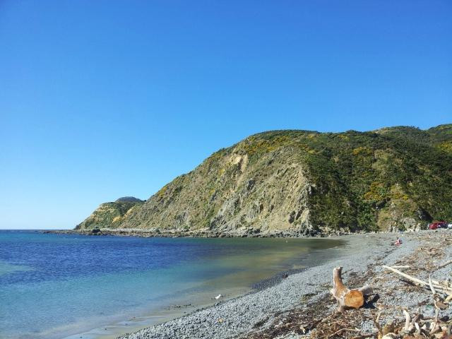 Makara Beach-惠灵顿必去景点