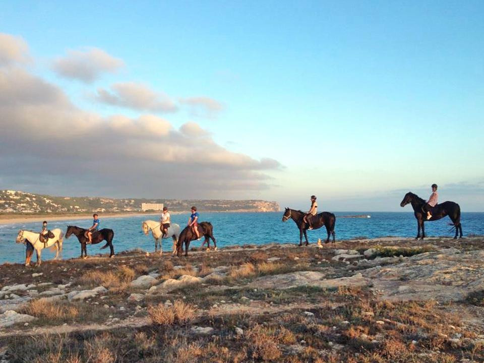 Son Bou Rutas A Caballo-阿拉约尔必去景点