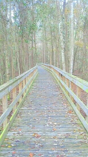 Camp Milton-杰克逊维尔必去景点