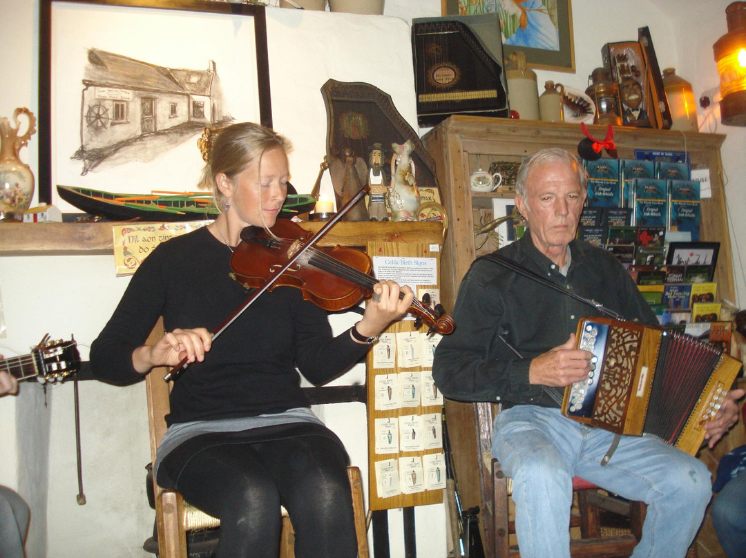 Siopa Ceoil An Daingin - Dingle Music Shop-丁格尔必去景点