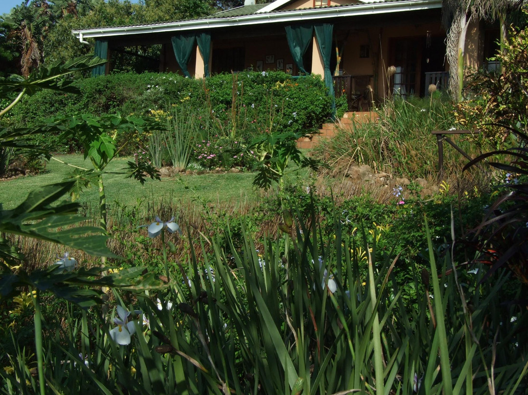 Bird and Butterfly B&B主图