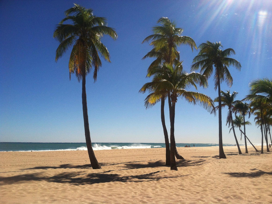 Las Olas Beach-劳德代尔堡必去景点