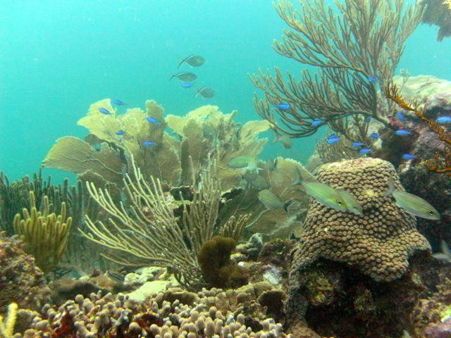 Las Galeras Divers-Las Galeras必去景点