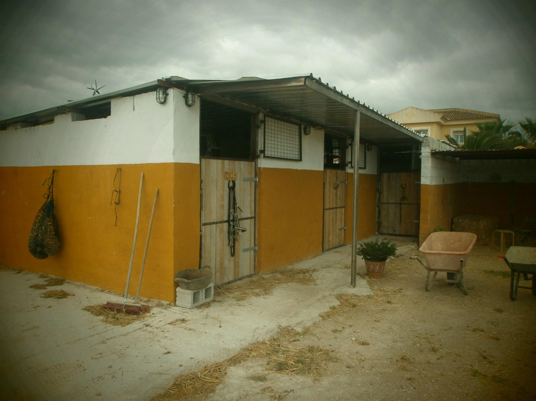 Finca Montana-Almoradi必去景点