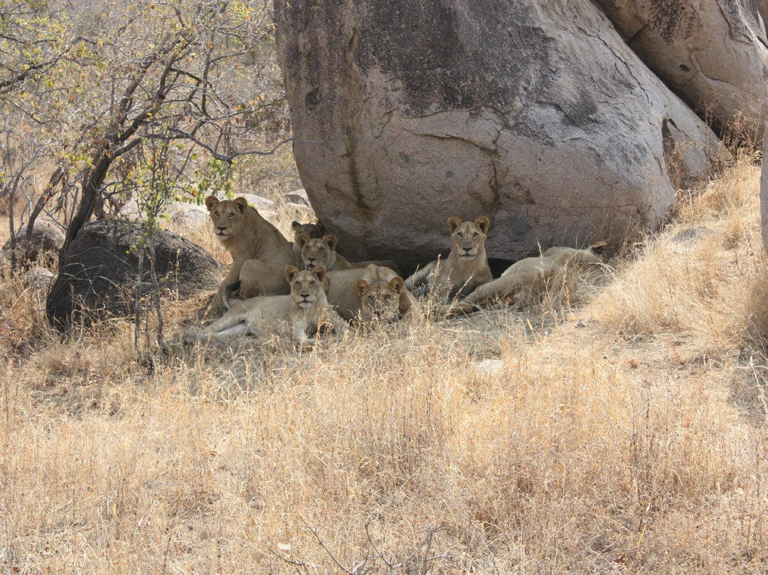 Gazelle Safaris-姆贝亚必去景点