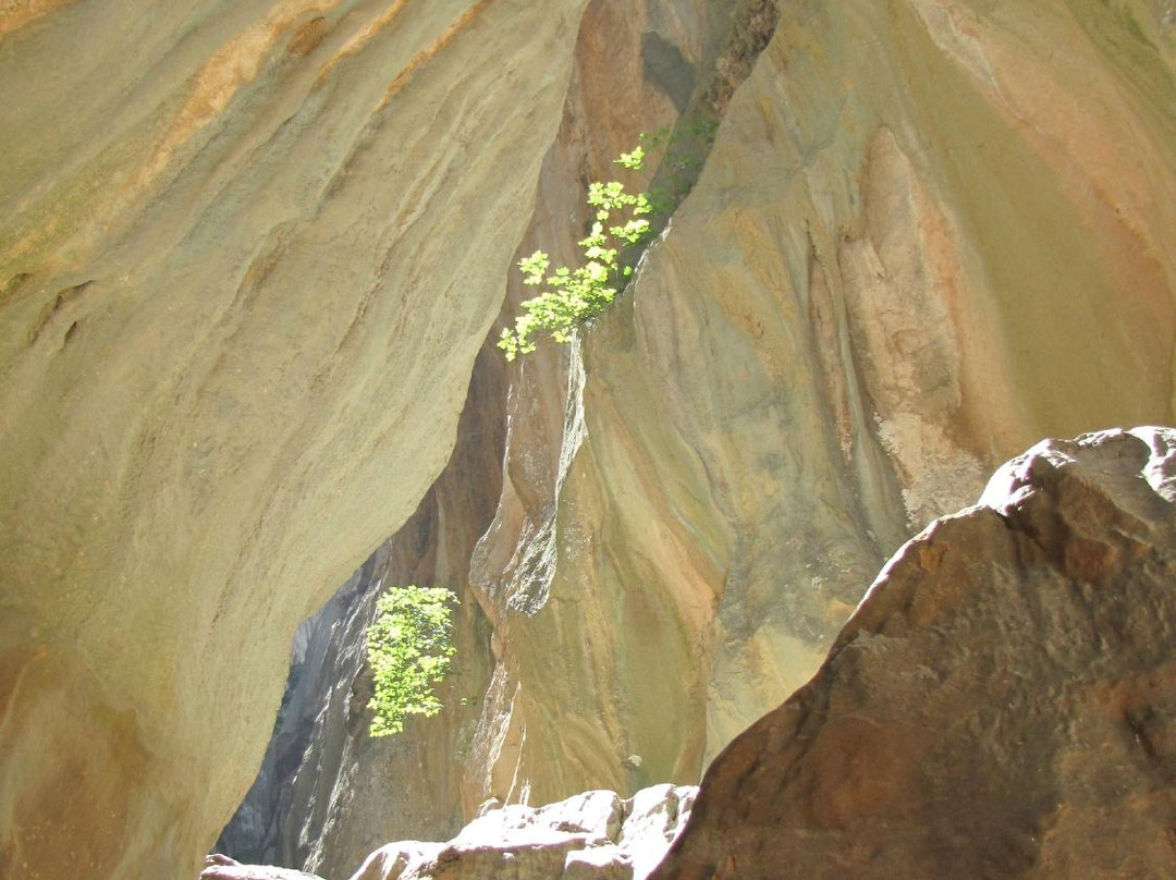 Tramuntana Tours-索列尔港必去景点