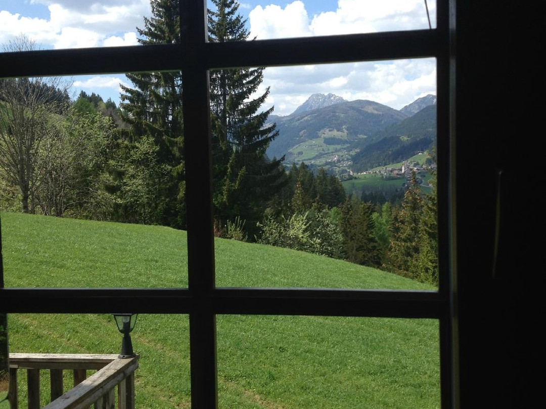 Ferienwohnungen & Pension Hartlerhof主图