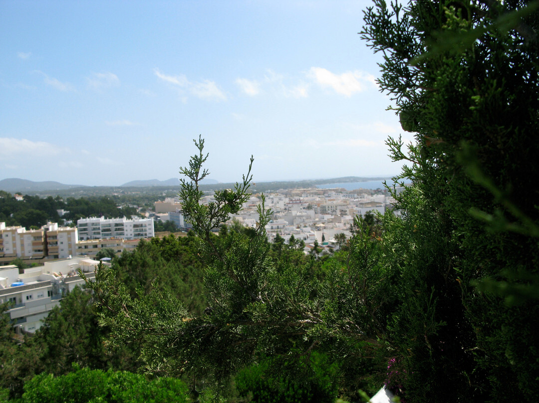 Puig de Missa景点图片