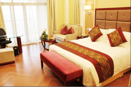 巢湖远洲豪廷大酒店主图