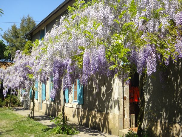 Chambres d'Hôtes Les Essarts-官方
