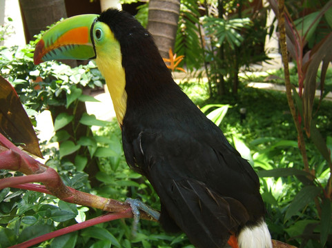 寨城-卡塔赫纳必去景点