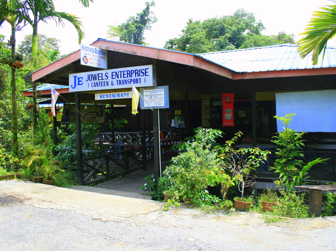 Mulu River Lodge