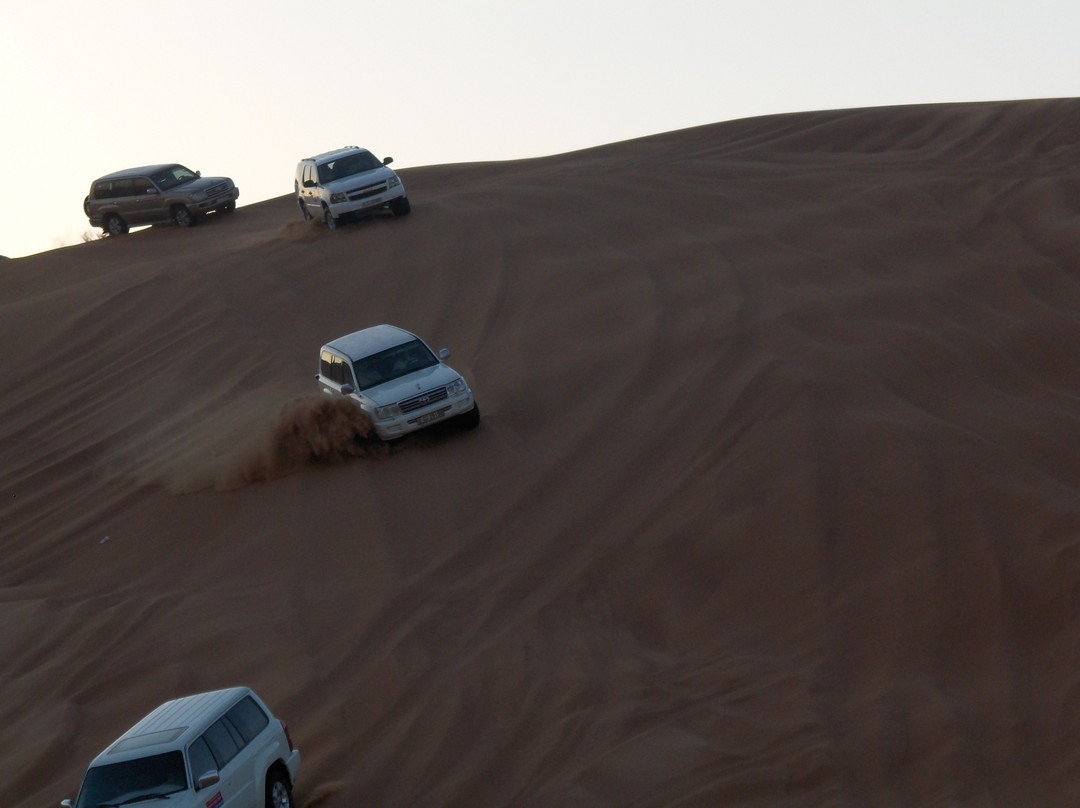 Arabian Nights Tours LLC景点图片