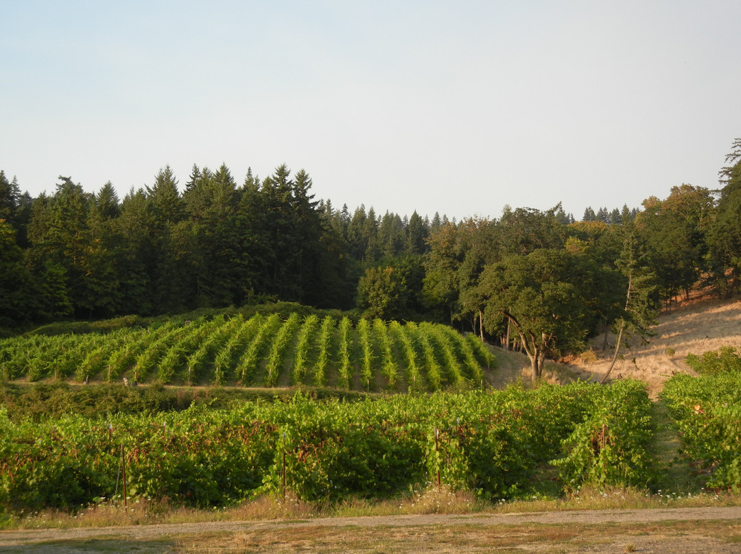 Ankeny Vineyard-塞勒姆必去景点
