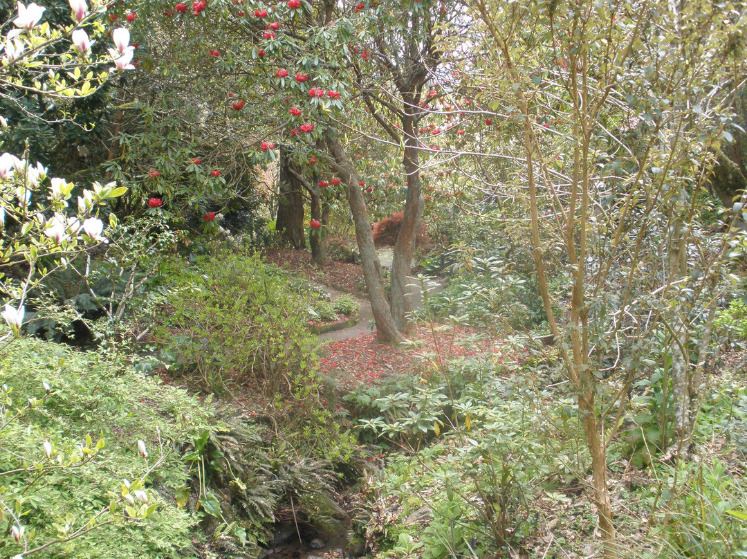 Glenfalloch Gardens-但尼丁必去景点