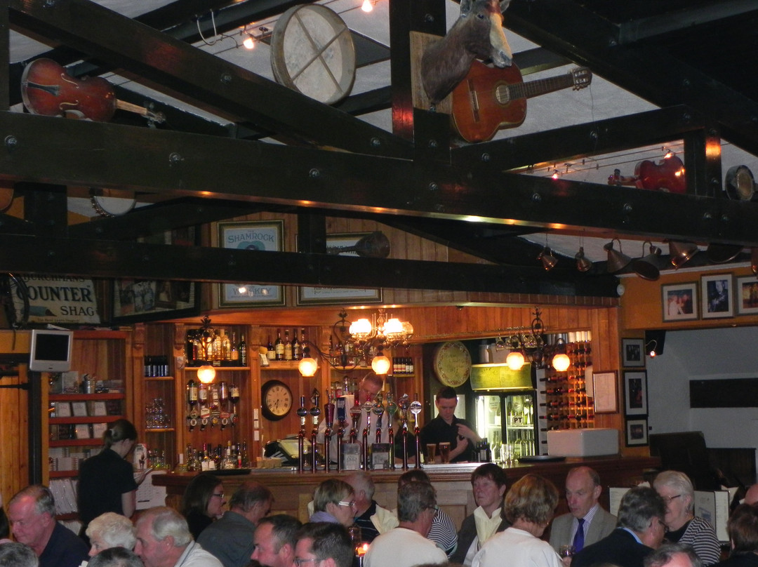 The Merry Ploughboy Irish Music Pub夜店-都柏林必去景点