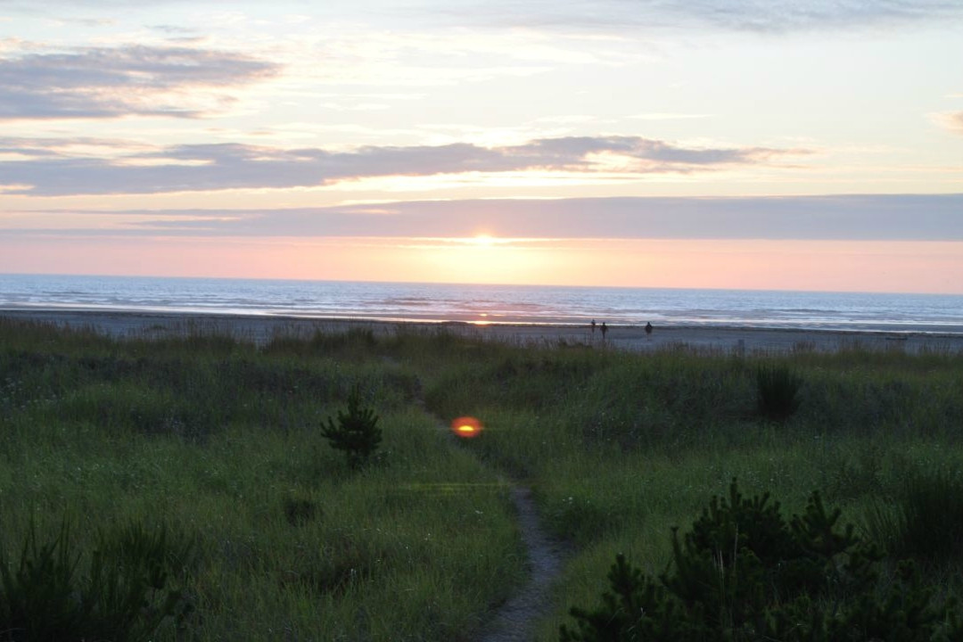 Grayland Beach State Park景点图片