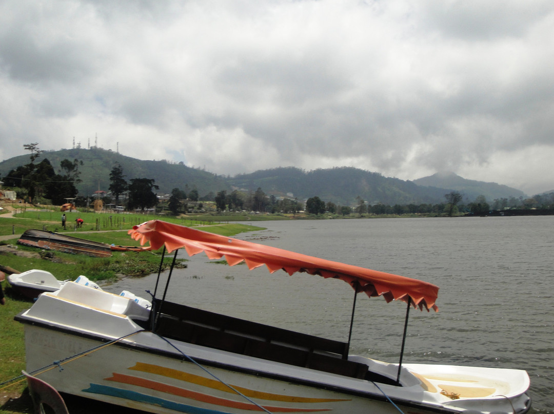 格雷戈里湖-奴娃拉伊利雅必去景点