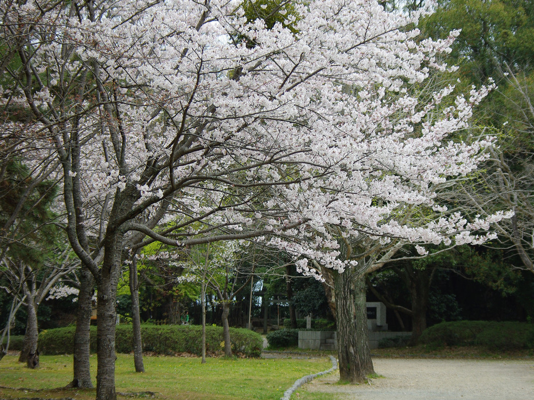 Toyohashi Park-丰桥市必去景点