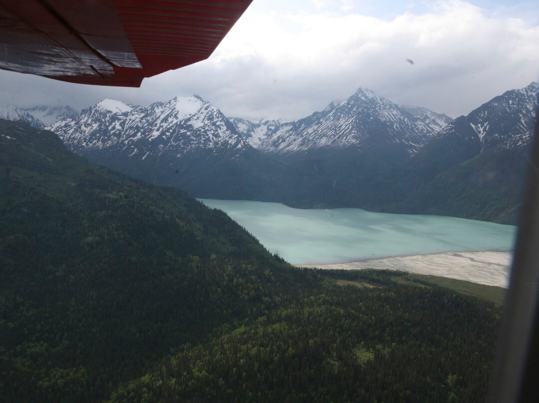 Steller Air Service-荷马必去景点