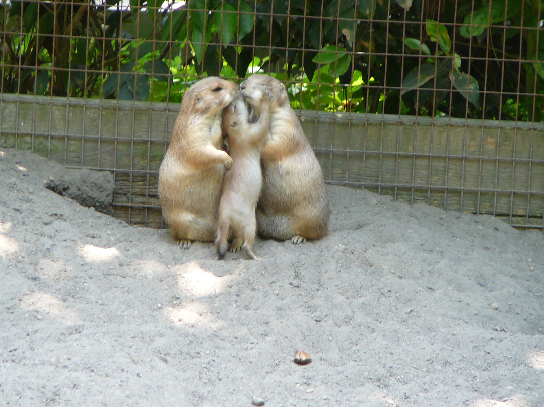 Salisbury Zoo-索尔兹伯里必去景点