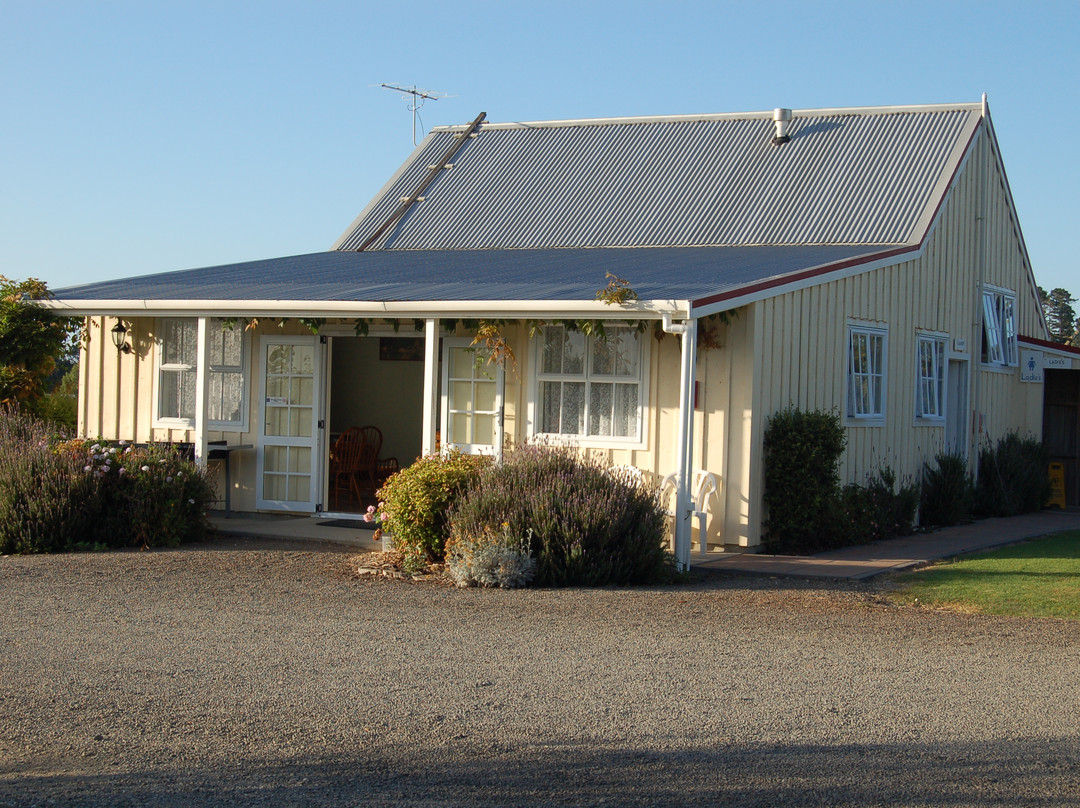 Matakohe Holiday Park