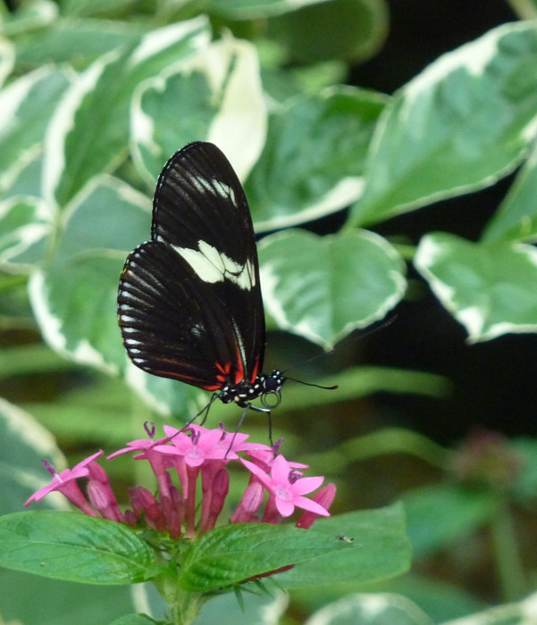 Florida Museum Of Natural History-盖恩斯维尔必去景点