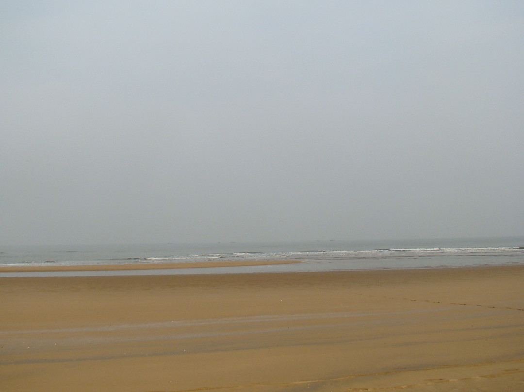 日照海滨森林公园-日照市必去景点