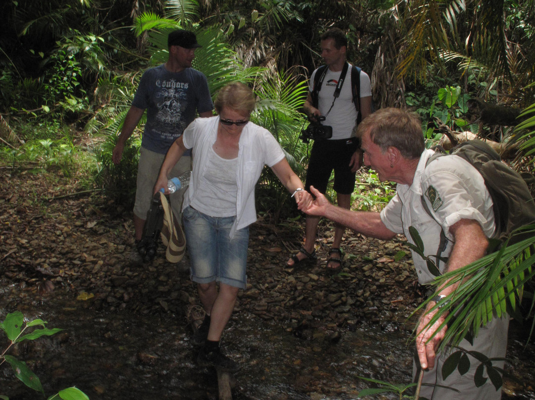 Heritage & Interpretive Tours-Daintree必去景点