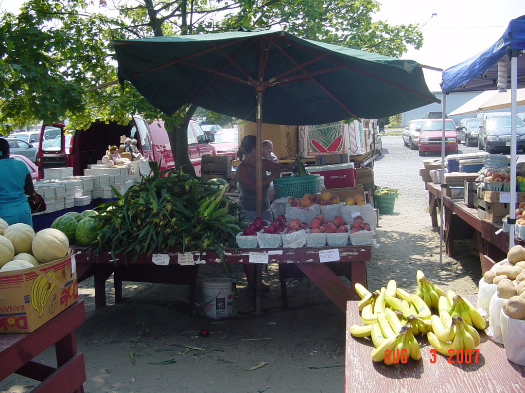 Spence's Bazaar-多佛必去景点