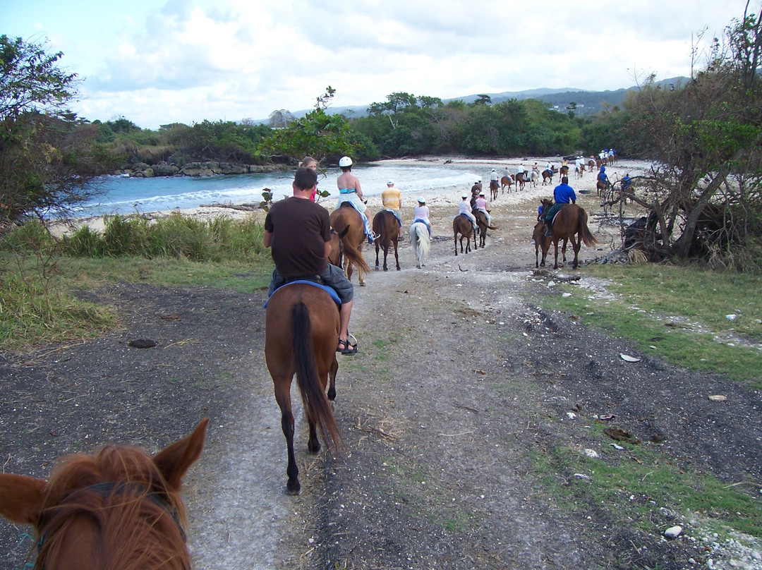 CHUKKA Ocean Outpost at Sandy Bay-Sandy Bay必去景点