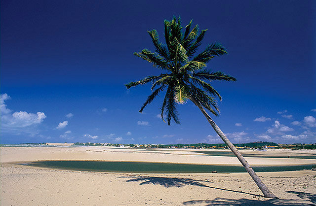 Genipabu Beach-Genipabu必去景点